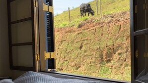 A bed with a view of a cow grazing on a hillside through an open window. - Lots of charm and comfort in the mountains of Cunha (Cunha, Sp)