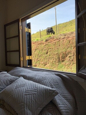 2 bedrooms, desk, soundproofing, iron/ironing board