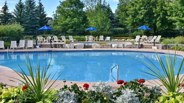 A swimming pool with lounge chairs and umbrellas, surrounded by greenery and trees. - Executive Town Home - Historical Snowbridge Village, Mountain View Blue mountain (The Blue Mountains)