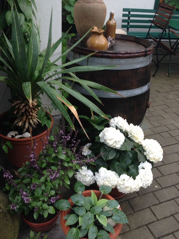 Garden - Ferienhäusl am Malerweg (Bad Schandau)