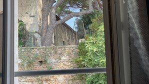 A view through a window with a stone wall, a tree, and a fence.