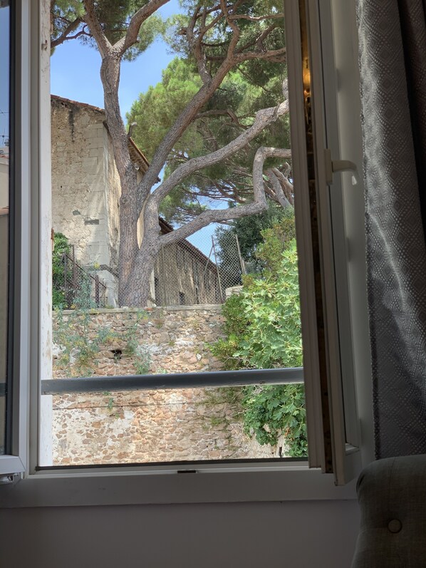 A view through a window with a stone wall, a tree, and a fence.