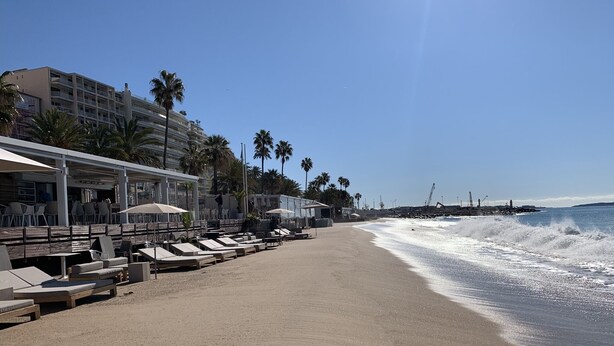A beachside hotel with outdoor seating and palm trees.