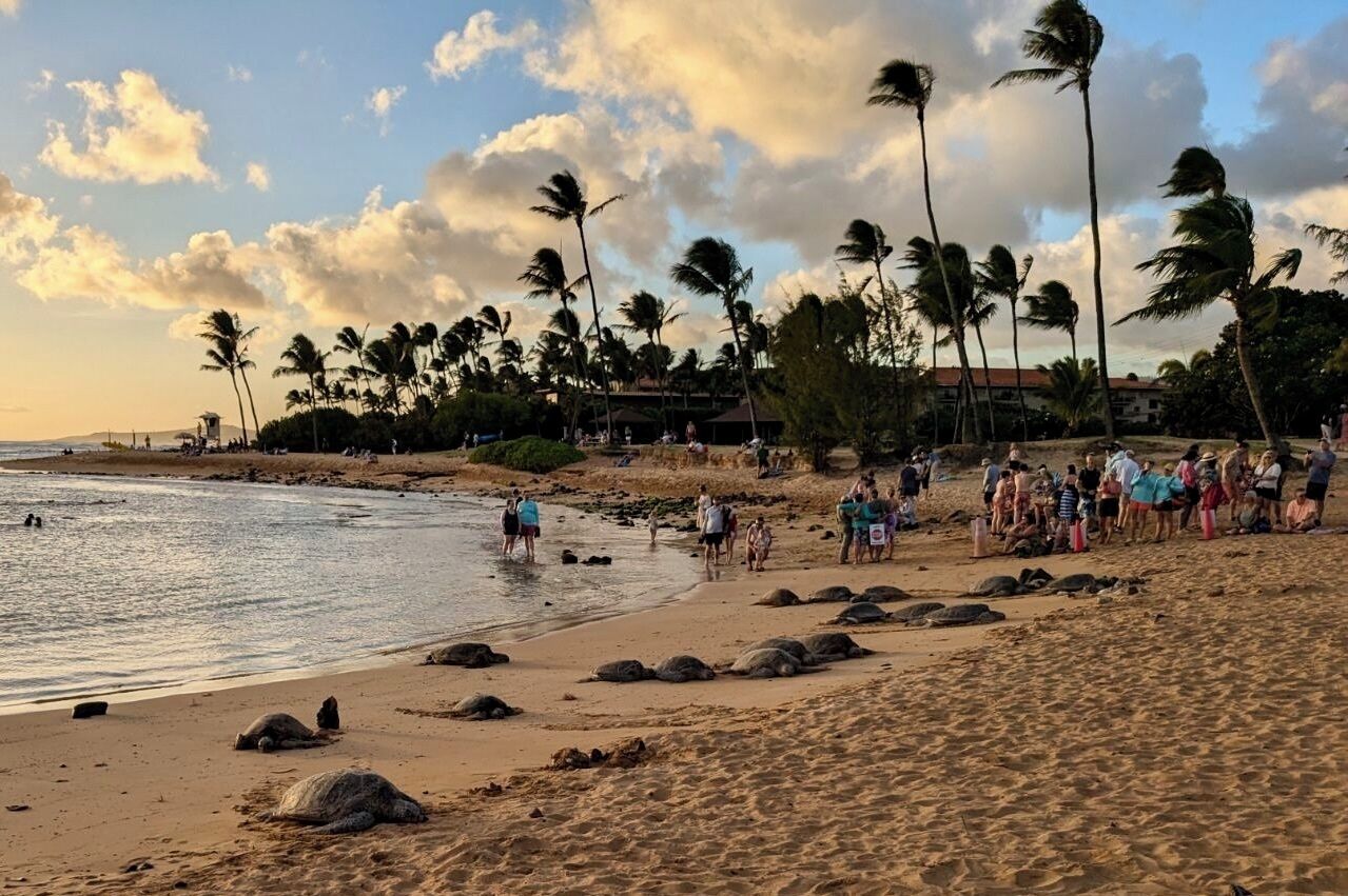 Beach nearby, sun loungers, beach towels