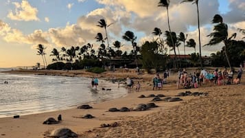 Beach nearby, sun loungers, beach towels