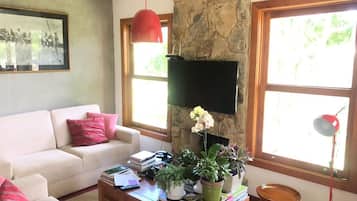 Smart TV, fireplace, DVD player, books