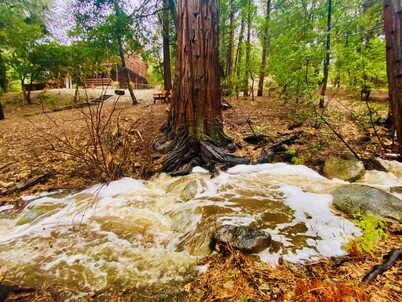 The Creek-Side Cabin: Hot Tub, Fire Pit,5 Star, AC, Big Deck, Quiet,Walk To Town