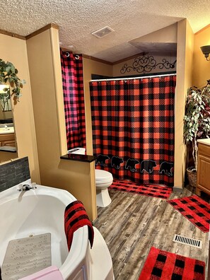 Combined shower/bathtub, hair dryer, towels, soap