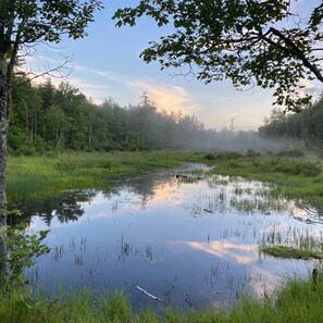 Image sans description, 5 de 50, bouton