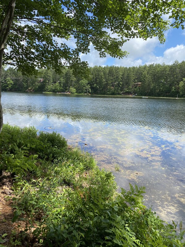 A lake surrounded by dense forest and a clear sky.