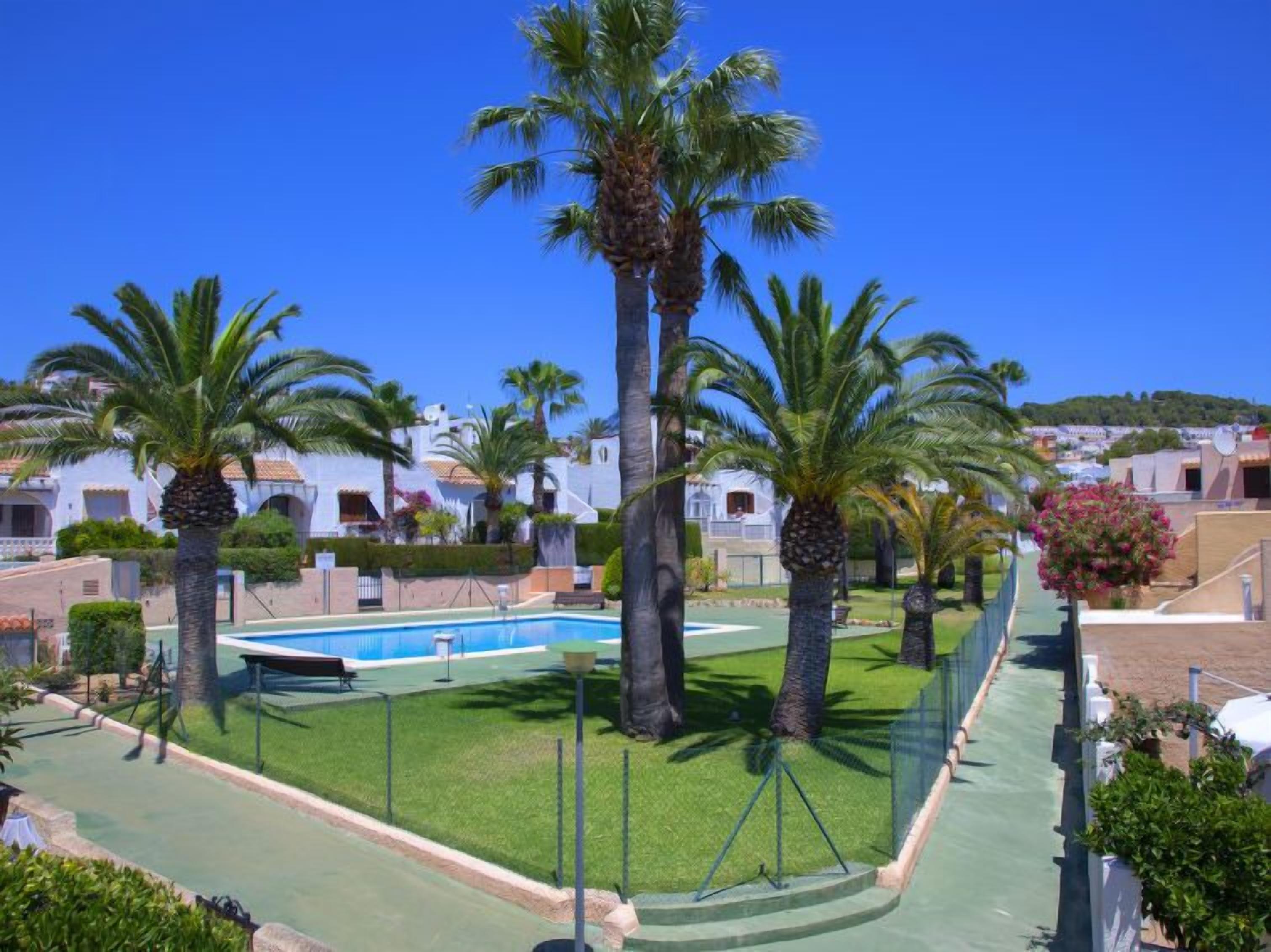 A pool area surrounded by palm trees and a clear blue sky.