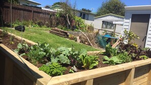 A backyard with raised garden beds, a wooden fence, and a small shed. - Spacious house with optimal decks near popular  beaches (Warkworth)