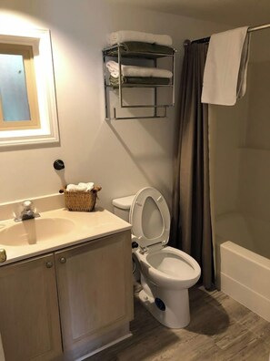 Un bagno con il water, un lavandino e una doccia.