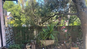Een tuin met een houten omheining, verschillende planten in potten, een vogelhuisje en een kleine boom.