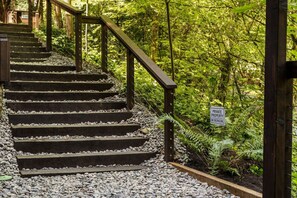 Property grounds - Forested Quiet Retreat, Pet Friendly, Private Patio, BBQ, Near Parks, Zoo, 5 Mins to Pearl District (Portland)