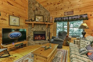 TV, fireplace, books