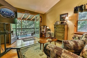 TV, fireplace, books