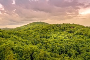 Un paysage boisé et dense, avec des collines ondoyantes et un ciel nuageux.