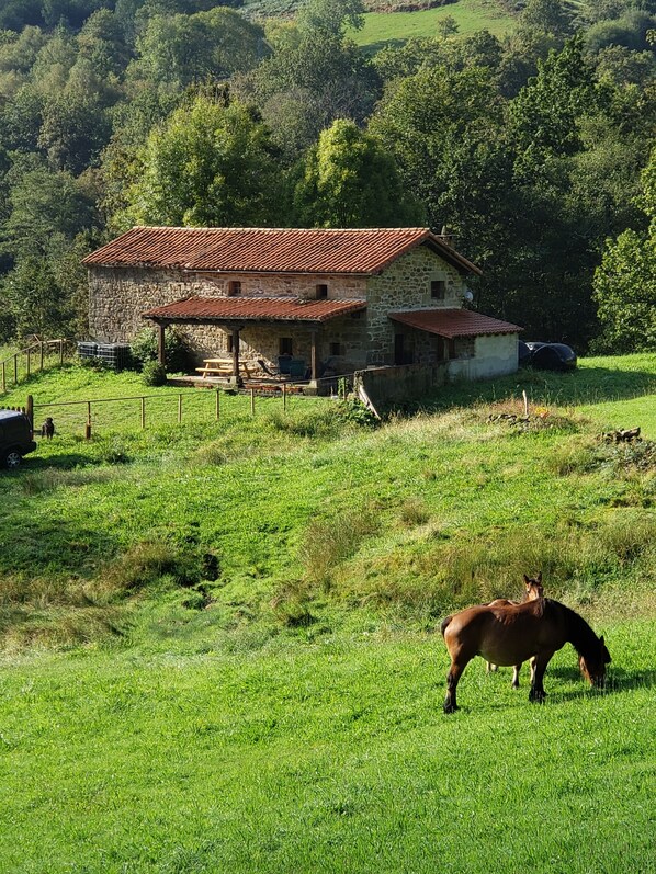 Unclassified image, 1 of 35, button - Marga cabin, comfort in the middle of nature, without missing anything. (San Roque de Riomiera)
