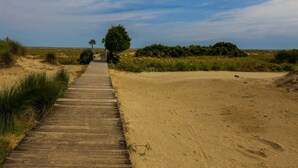Ein hölzerner Steg führt zu einem Strand mit spärlicher Vegetation und wolkenlosem Himmel.
