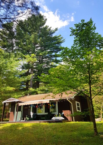 Family Chalet with Fireplace under Pine trees