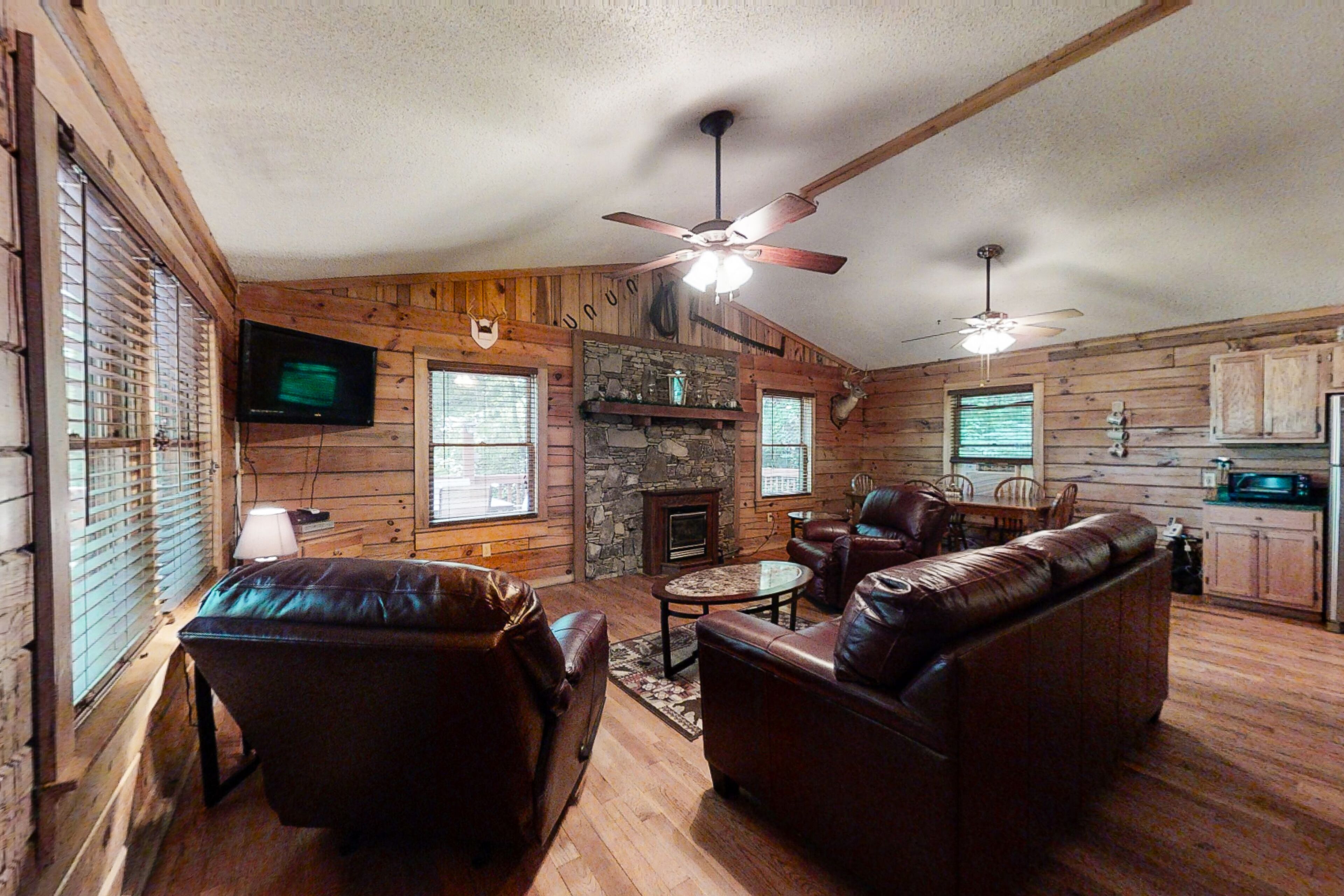 Télévision, cheminée, lecteur de DVD