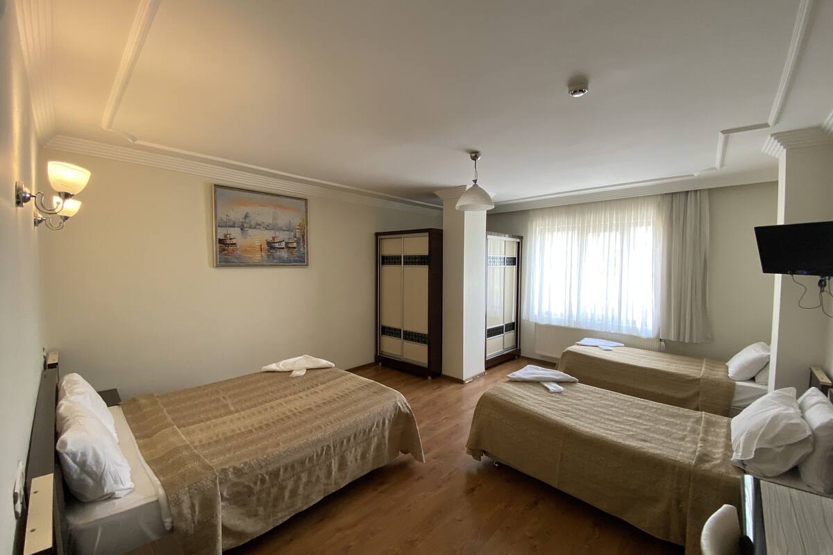 Una habitación de hotel con dos camas, un cuadro, un televisor y un armario.
