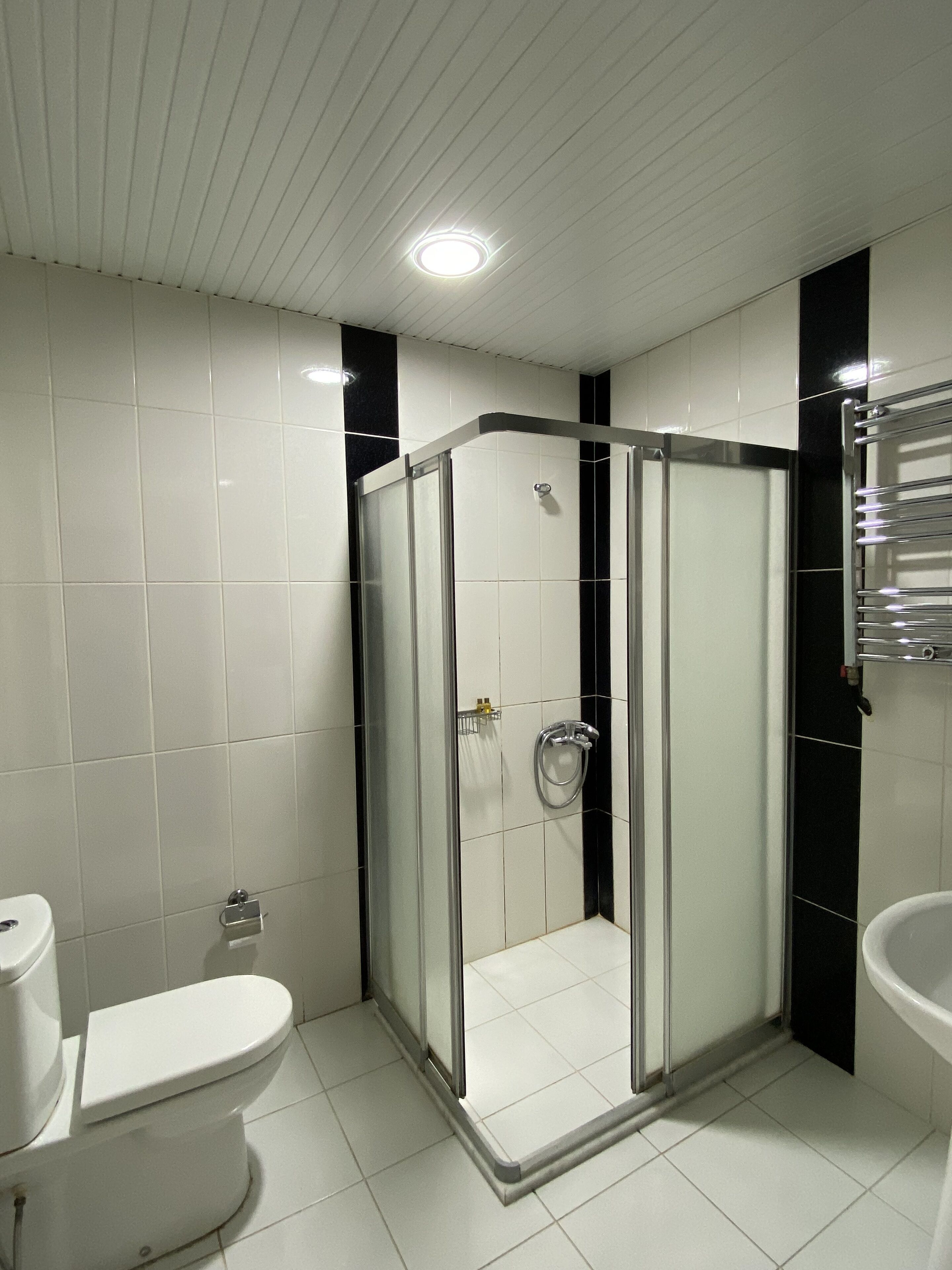 Ein modernes Badezimmer mit einer Duschkabine, einer Toilette und einem Waschbecken.