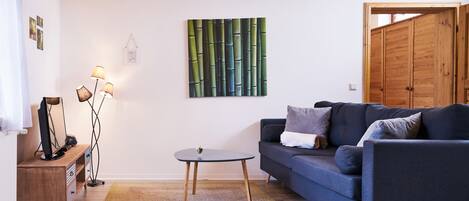 Fernseher, Stereoanlage