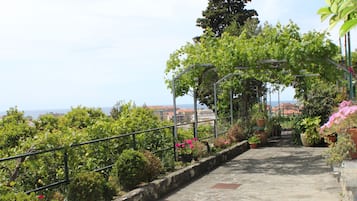 Área da propriedade