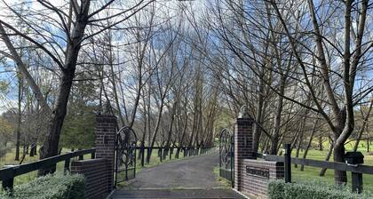 Pet Friendly Cottage on 10 fantastic acres