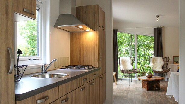 A modern kitchen with wooden cabinets, a stainless steel sink, and a gas stove. There is a dining area with a table and chairs, and a view of greenery through the windows.