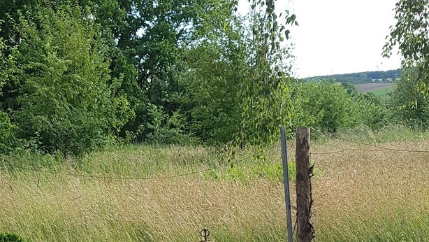 Utendørsservering
