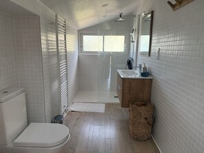 Secador de pelo, toallas y papel higiénico