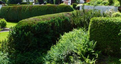 FeWo in Zwiesel Rabenstein, die Perle im Bayrischen Wald !!!