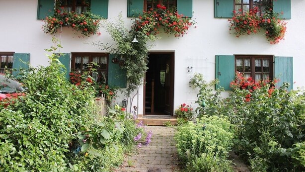 Un bâtiment blanc avec des volets verts et des jardinières aux fenêtres.
