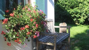 Un banc en bois, doté d’une base en pierre, placé à côté d’un mur sur lequel grimpe une plante.