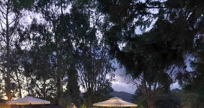 "Villa Stravanata" with swimming Pool - car available - outdoor heated hot tub