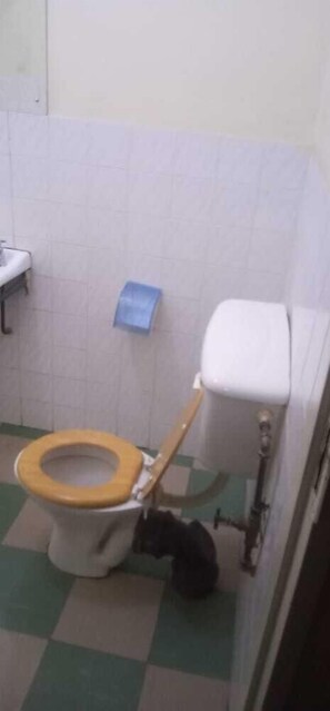 Bañera y ducha independientes, cabezal de ducha con hidromasaje, toallas
