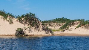 Ein sandiger Strand mit spärlicher Vegetation und ruhigem Wasser.