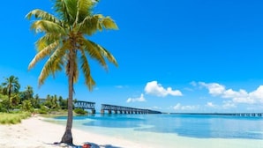 A beach with a palm tree, clear blue water, and a pier in the background. - Splash Pool- Key Colony Villa - KCB#4 (Key Colony Beach)