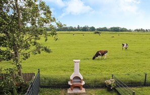 المنطقة المحيطة بالمنشأة