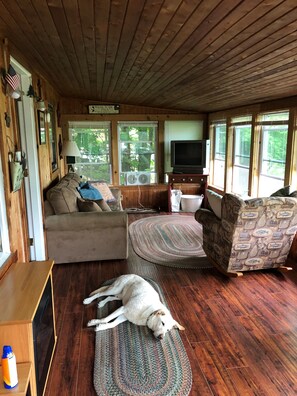 DVD-soitin, videokirjasto