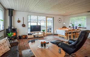 Smart-TV, Kamin