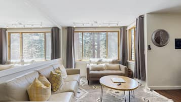 TV, fireplace, books