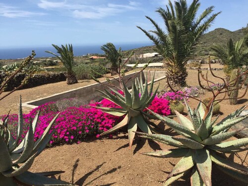 ELEGANT PROPRIETY 10 MINUTES FAR AWAY FROM AIRPORT