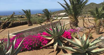 ELEGANT PROPRIETY 10 MINUTES FAR AWAY FROM AIRPORT