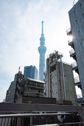 City view from property