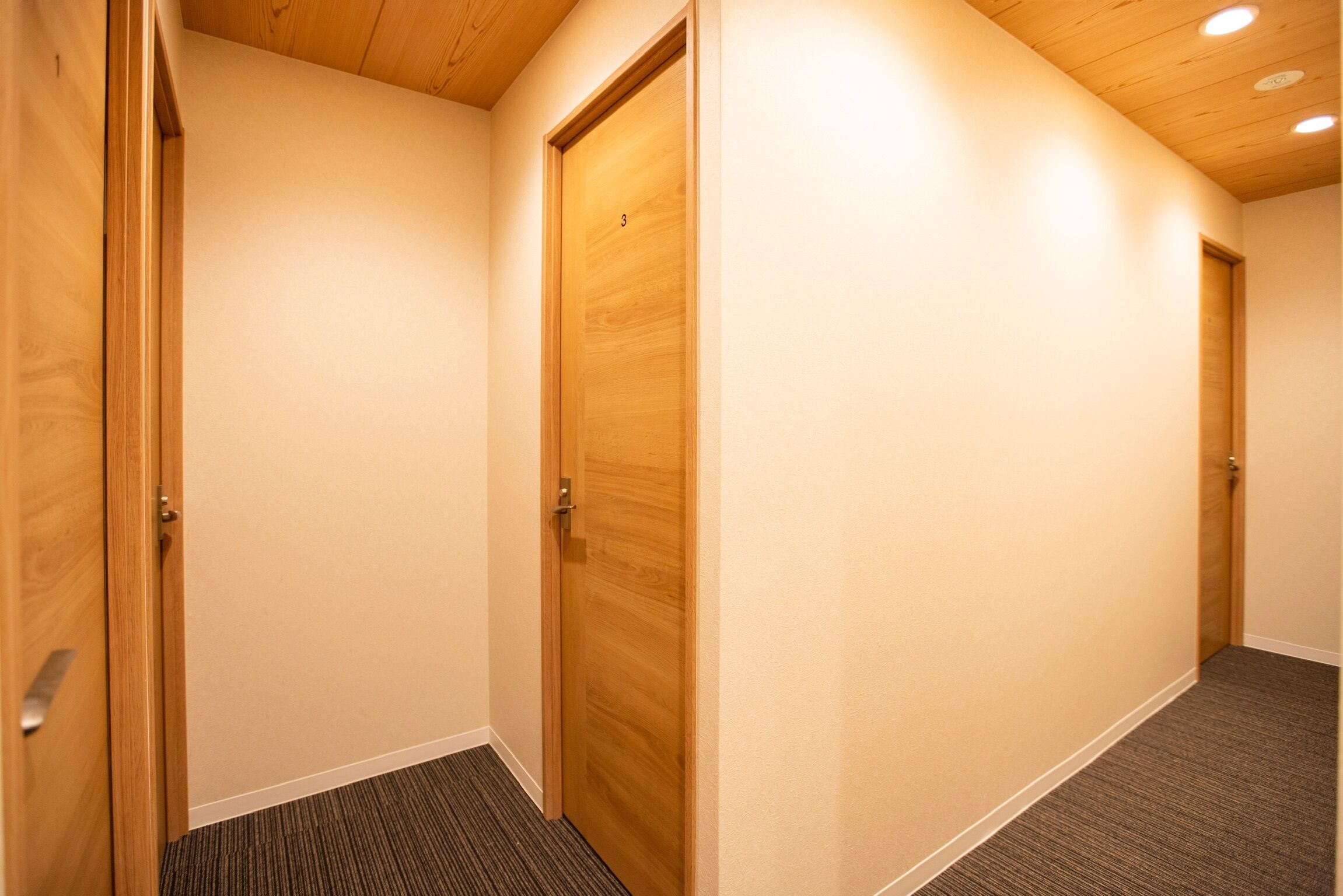 A hallway with wooden doors and carpeted flooring.