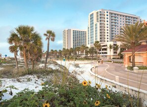 Property grounds - Wyndham Clearwater Lux Oceanfront Condo with onsite Spa & amenities (Clearwater)